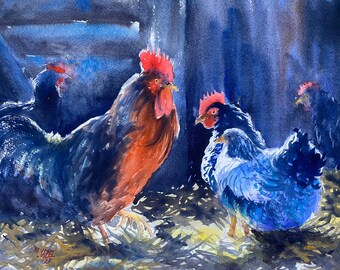 Morning in the Coop