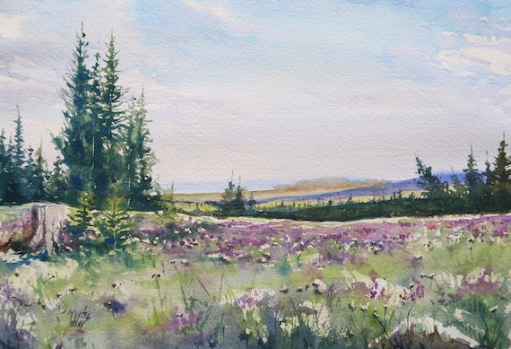 Landscape Purple Mountain Meadow With Flowers Pine Trees 911,600+