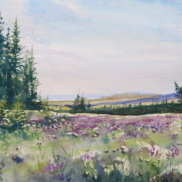 Rocky Mountain Meadow Watercolor Landscape art outdoors national park hiking american west naturalist purple fine art print colorado montana