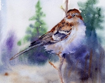 Chipping Sparrow, songbird, wildlife, birds, milkweed, nature, natural, meadow, birding, ecololgy, green, ecosystem, field, watercolor