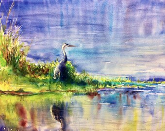 Blue Heron, heron fish marsh swamp water lake birds bird morning peaceful mike yazel fishing water birds water lake shore nature