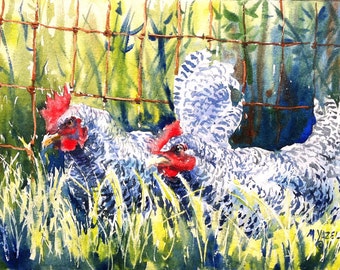 Barred Rock Couple Print