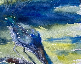 Green Heron Hunting