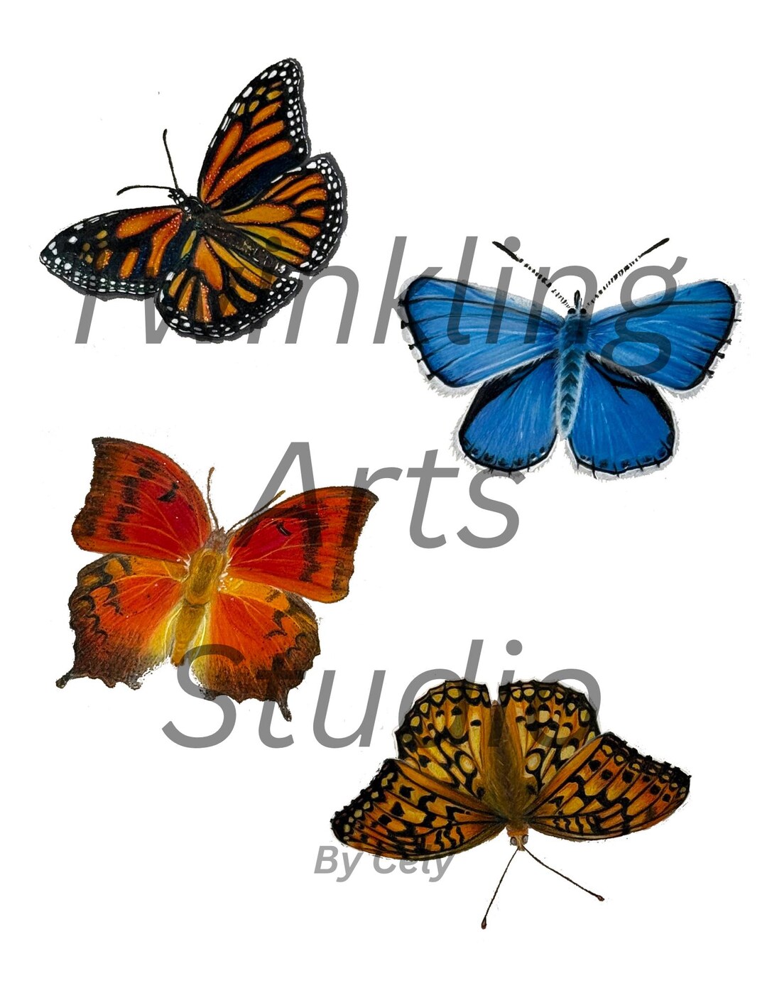 4 Butterfly Sticker Set - Digital Download | White Background PNG ...