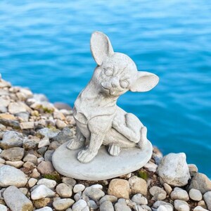 Chiot chihuahua avec de grandes oreilles, sculpture en béton chihuahua sur socle, statue de chiot chihuahua réaliste, décoration animalière d&#39;extérieur