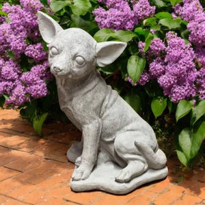 Figurine détaillée de chien chihuahua, figurine de chiot à la tête tournée, mémorial de chien en béton, perte d&#39;animal de compagnie, idée cadeau pour les amoureux des animaux de compagnie, statue de chihuahua sur socle