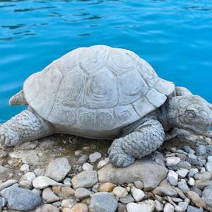 Western turtle statue, Large turtle figurine, Concrete Western turtle figure, Outdoor garden art, Yard tortoise decoration