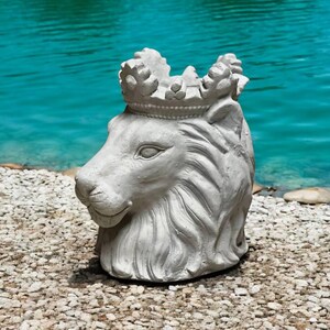 May include: A gray concrete lion head planter with a crown on top. The planter is sitting on a bed of small white rocks.