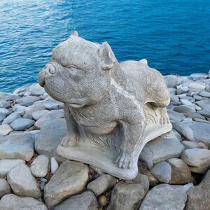 American Bully dog figure, Standing American Bully dog figurine, Concrete Bully, Massive dog memorial statue
