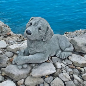 May include: A gray concrete statue of a Labrador Retriever dog sitting on a bed of gray rocks. The dog is looking to the left and has a playful expression on its face.