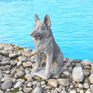 Pu&ograve; includere: Una statua di un pastore tedesco in cemento grigio seduta su un letto di pietre grigie. Il cane guarda a sinistra e ha un aspetto realistico.