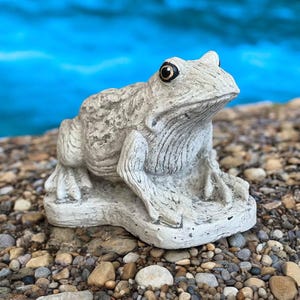 May include: A gray concrete frog statue with black eyes, sitting on a gray concrete base. The frog is positioned on a bed of small gray, brown, and white stones.