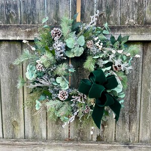 Green eucalyptus and pine