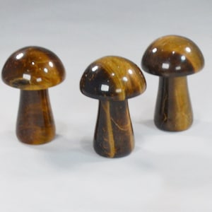 X-SM Individual Tigerseye Mushrooms – Carved Stone Collectible
