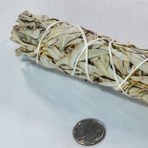 Natural Incense - Medium White Sage Smudge Stick (6-inch) from California