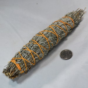 Natürlicher Weihrauch - Großer Wüstensalbei-Wischstift (8 Zoll) aus Taos, New Mexico
