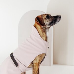 Winter dog coat rhodesian ridgeback - Etsy sterreich