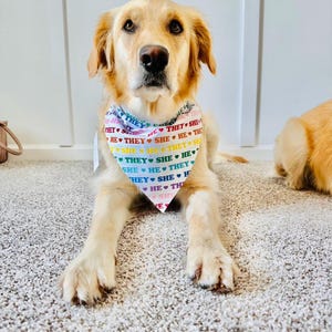 Dog/pet bandana neckware.
