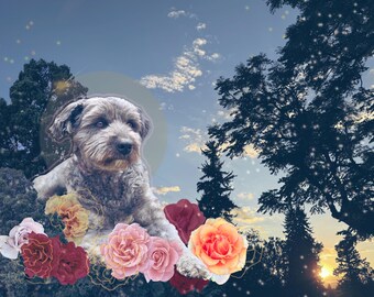 Outdoor, Floral Semi-Custom Pet Portrait