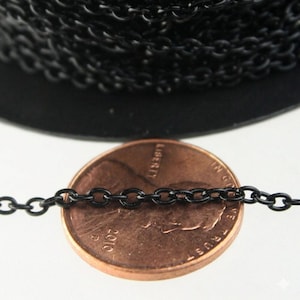 May include: Close-up of a black chain next to a penny. The chain is made of small, oval links. The penny is copper-colored and shows the year 2010 and the word "Liberty".