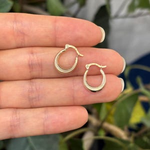 10k Gold Scalloped Round Mini Hoop Earrings