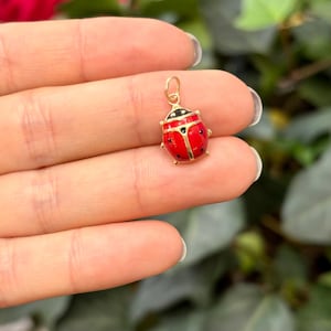 14k Gold Red Ladybug 2D Pendant Charm