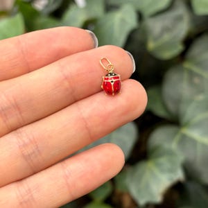 14k Gold Red Ladybug 2D Pendant Charm