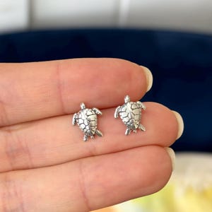 May include: A pair of silver turtle stud earrings. The turtles are facing forward with their heads up and their legs outstretched.