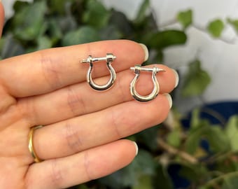 May include: A pair of silver-toned metal earrings in the shape of a U-shaped hook with a small screw detail.