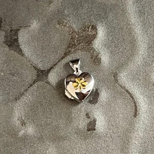 May include: A silver heart-shaped pendant with a gold four-leaf clover design. The pendant has a small loop at the top for a chain. The pendant is on a gray surface.