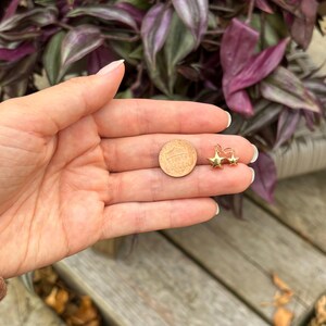 May include: A close-up of a hand holding two gold star-shaped charms. The charms are about the size of a US penny.
