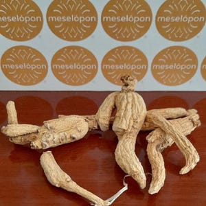 Chinese Ginseng Root Woods Grown Whole Dried Panax Ginseng Herbal Remedy Asian Ginseng Homeopathy 25gr / 0.86oz