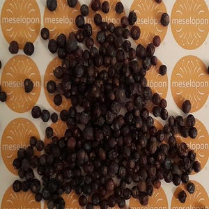 Bayas de enebro, superalimento, fruta, refrigerio saludable, frutos secos enteros para cocinar, 100 g/3,52 oz