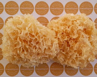 Dried Tremella Fungi Snow Fungus Whole Beauty Mushrooms White Jelly Mushroom Snow Ear Collagen Production 100gr / 3.52oz