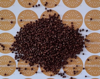Piment de Guinée, grains de paradis séchés, épice entière, grains de poivre de Melegueta 100 g / 3,52 oz