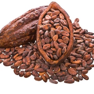 Pure Cacao Beans Cocoa Raw Premium Quality Whole Chocolate Beans Natural Cocoa Unroasted Hand Harvest Healthy Chocolate 100gr / 3.52oz