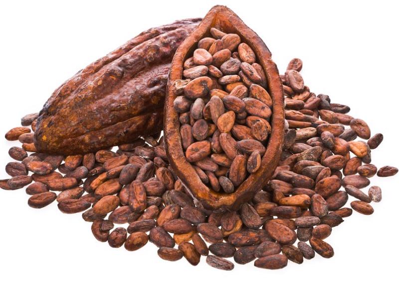 Pure Cacao Beans Cocoa Raw Premium Quality Whole Chocolate Beans Natural Cocoa Unroasted Hand Harvest Healthy Chocolate 100gr / 3.52oz