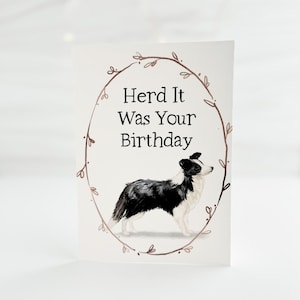 Printable Birthday Card, Border Collie Birthday Card, Dog Birthday Card