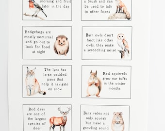 Printable Lunchbox Notes, Animal Facts Lunchbox Notes, Woodland Animal Facts