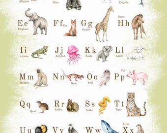 Animal Alphabet