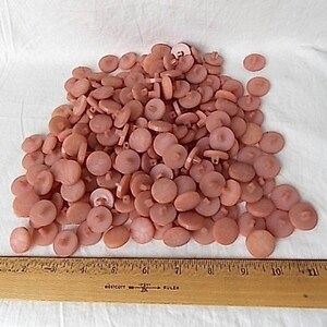 May include: A pile of light pink buttons with a flat, round design. A wooden ruler with inch markings is placed at the bottom of the buttons. The buttons are scattered on a white surface.