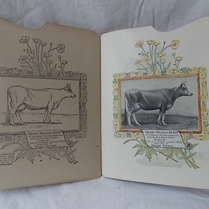 Puede incluir: Un libro abierto que muestra dos p&aacute;ginas con ilustraciones id&eacute;nticas de una vaca llamada Merry Maiden 64949. La p&aacute;gina izquierda presenta un dibujo lineal en blanco y negro, mientras que la derecha muestra una versi&oacute;n a color con flores amarillas.