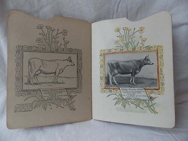 Puede incluir: Un libro abierto que muestra dos p&aacute;ginas con ilustraciones id&eacute;nticas de una vaca llamada Merry Maiden 64949. La p&aacute;gina izquierda presenta un dibujo lineal en blanco y negro, mientras que la derecha muestra una versi&oacute;n a color con flores amarillas.