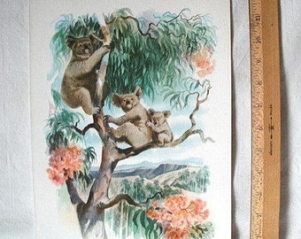 Vintage 1961 Ship Menu Koala Bears Illustration Lurline Matson Lines