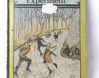 1920s Miss Tebbet‘s Experiment Walter Schuette Vintage  Book for Girls