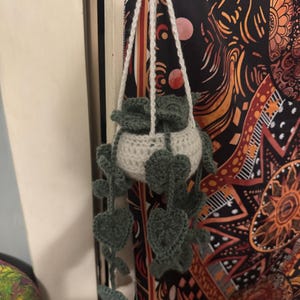 Hanging Heart Plant