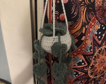 Hanging Heart Plant