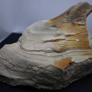 Rough Green Owyhee Picture Jasper / Wild Horse Picture Jasper Chunk