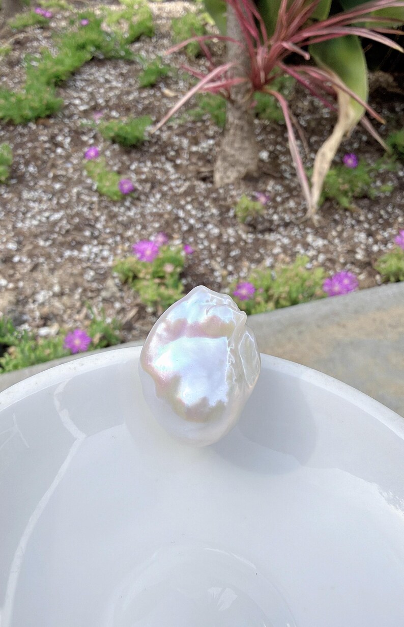 Puede incluir: Una perla blanca grande, de forma irregular, con reflejos iridiscentes de color rosa, azul y amarillo. La perla descansa en un cuenco blanco y poco profundo. El fondo presenta follaje verde y peque&ntilde;as flores moradas.