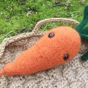 Carrot plush, stuffed root vegetable, true handmade knit felted wool